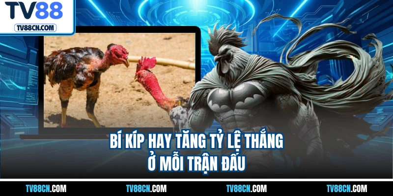 Bí kíp hay tăng tỷ lệ thắng ở mỗi trận đấu