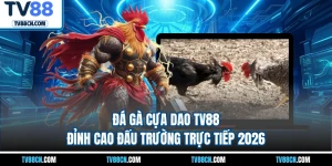 Đá Gà Cựa Dao TV88 - Đỉnh Cao Đấu Trường Trực Tiếp 2026