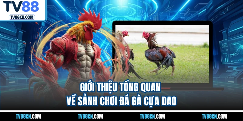 Giới thiệu tổng quan về sảnh chơi đá gà cựa dao