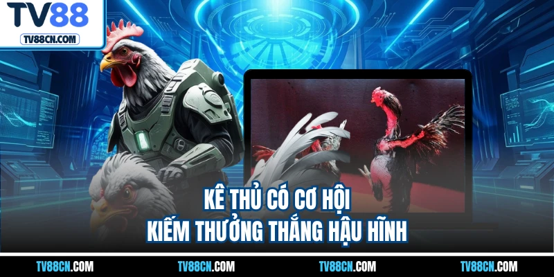 Kê thủ có cơ hội kiếm thưởng thắng hậu hĩnh