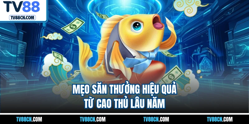 Mẹo săn thưởng hiệu quả từ cao thủ lâu năm