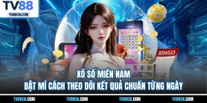 Xổ Số Miền Nam - Bật Mí Cách Theo Dõi Kết Quả Chuẩn Từng Ngày